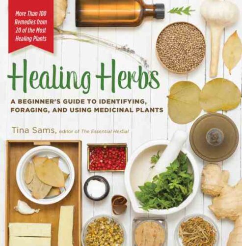 Guide to a Flower and Oatmeal Facial
